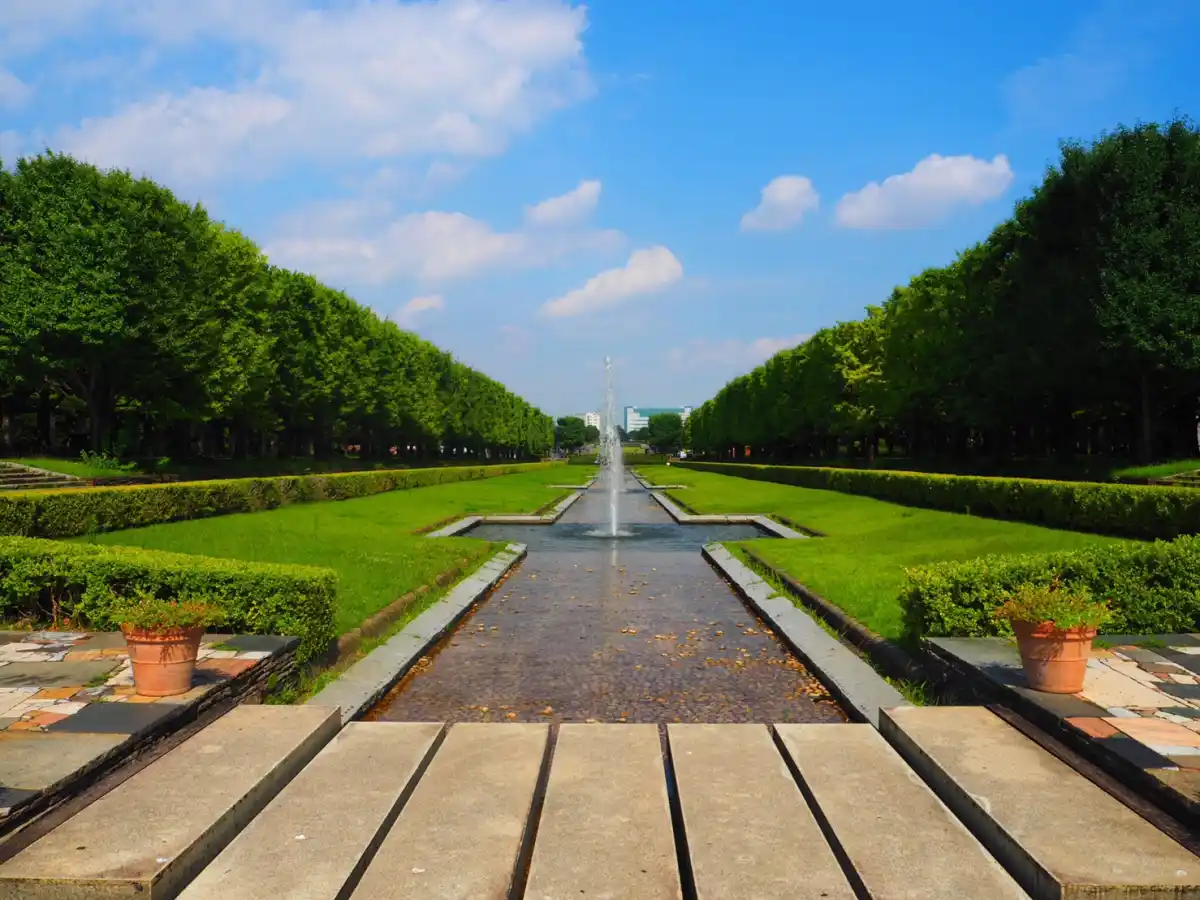国営昭和記念公園の写真