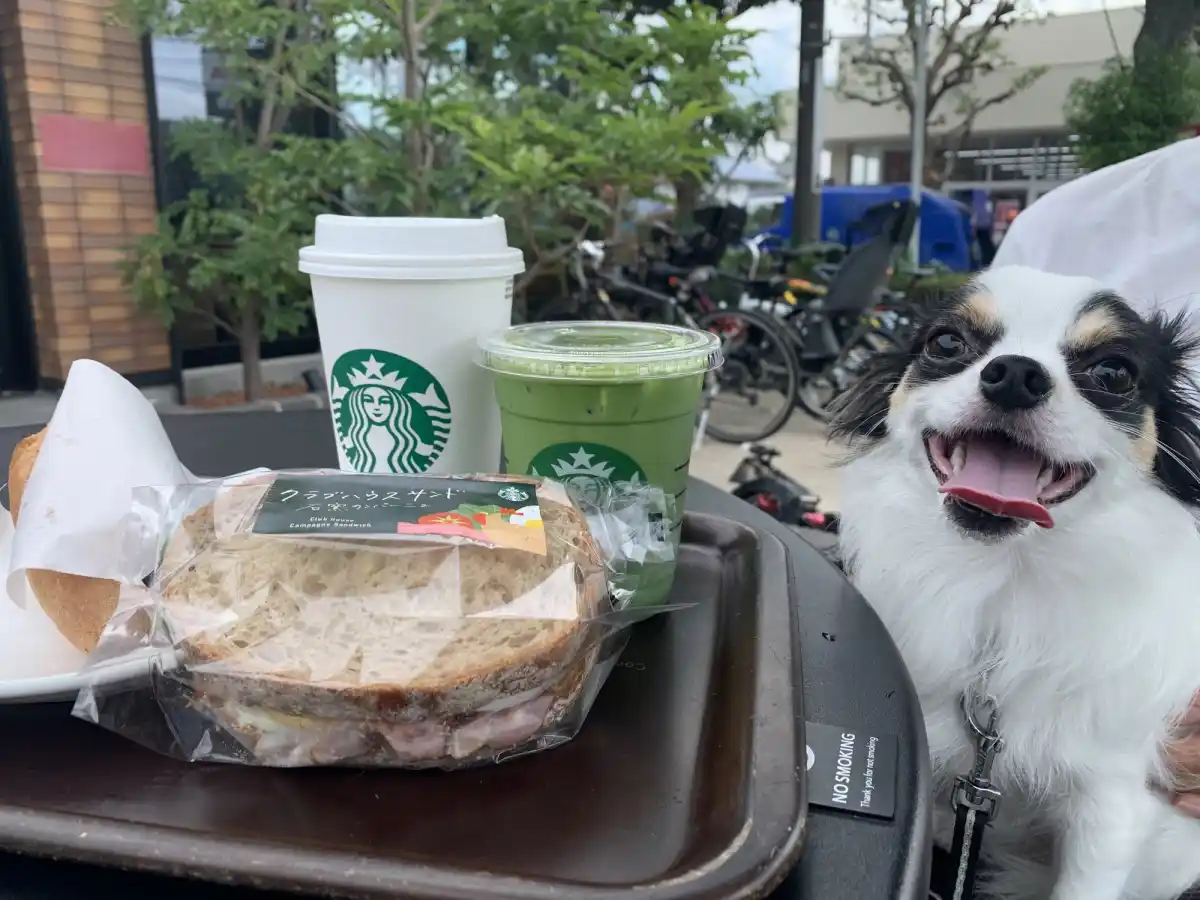 スターバックスの写真