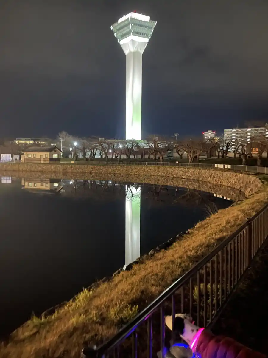 五稜郭公園の写真