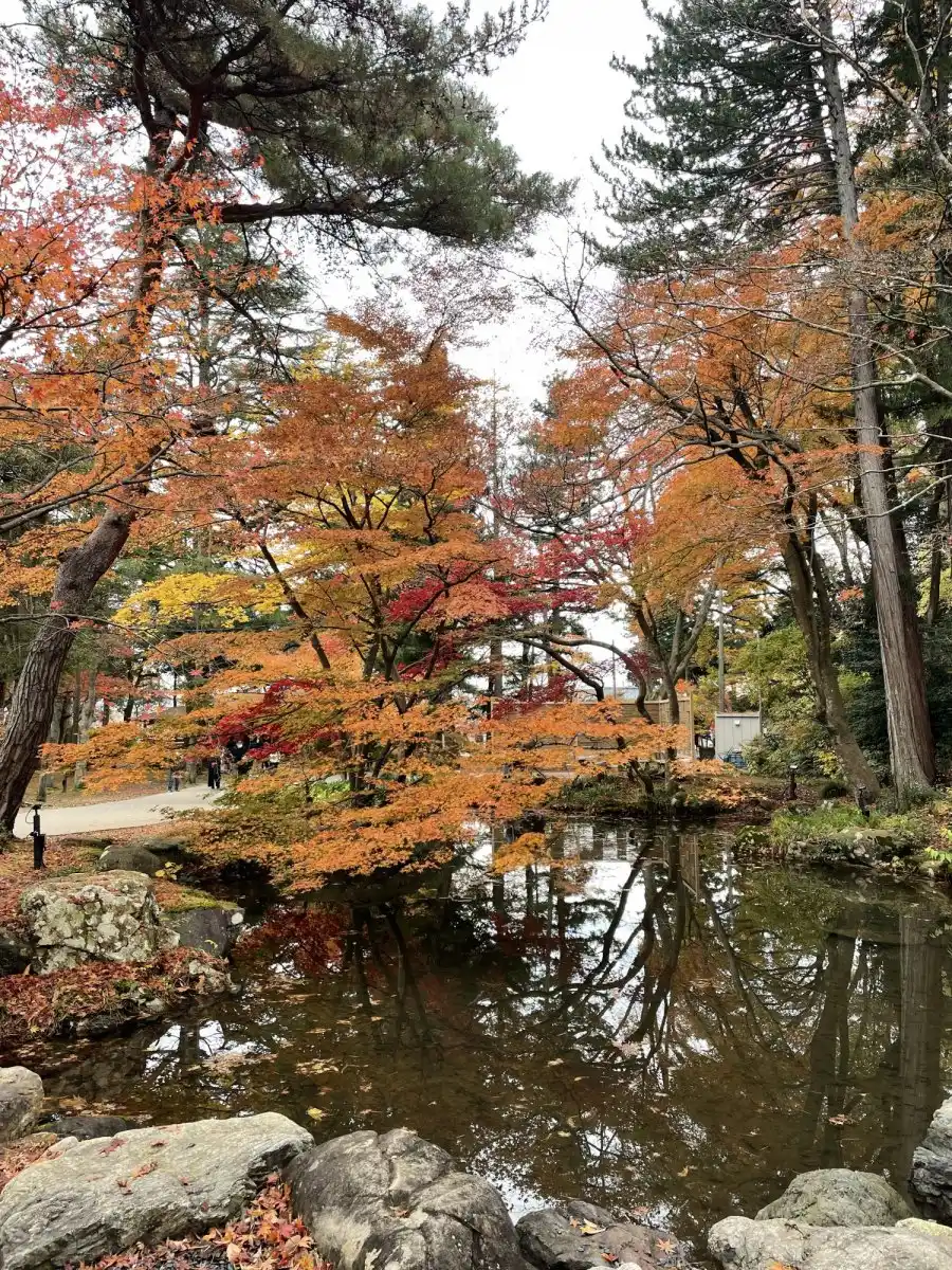 弥彦公園の写真