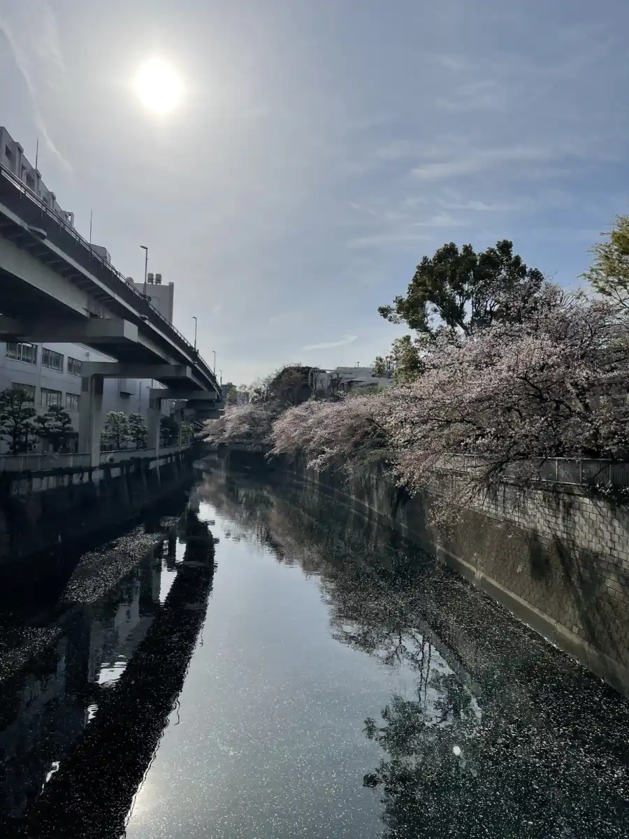 江戸川橋公園の写真