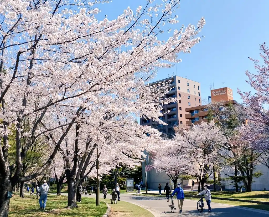 中島公園の写真