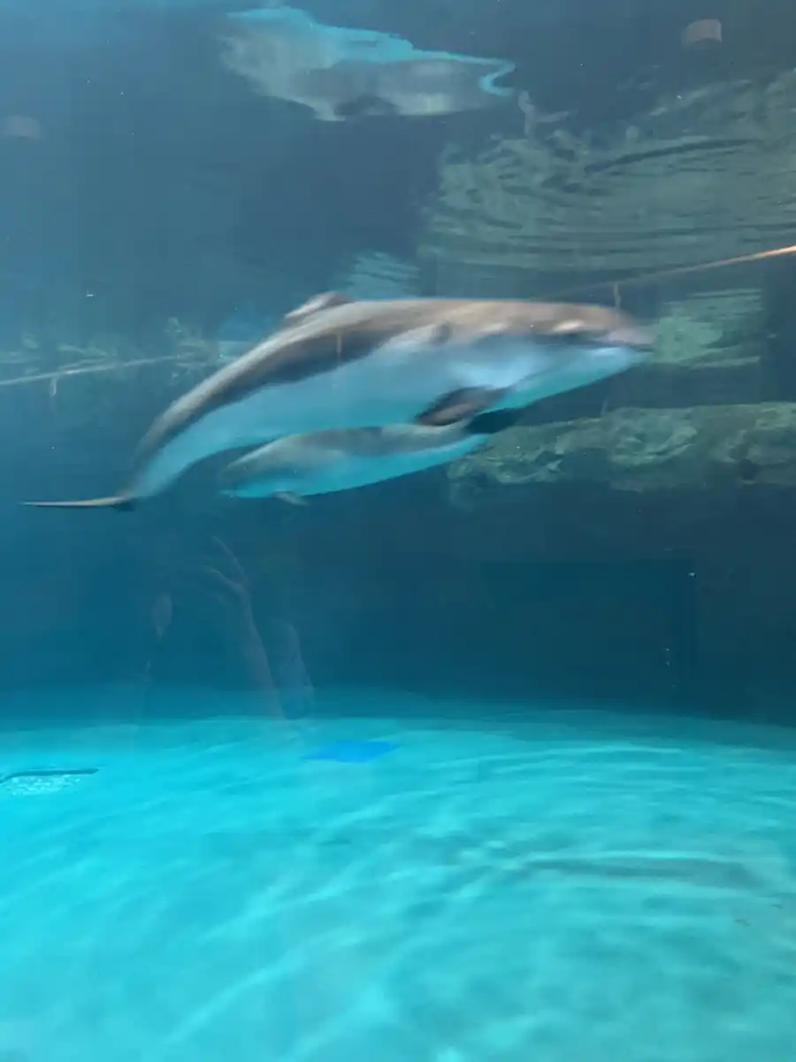 おたる水族館の写真