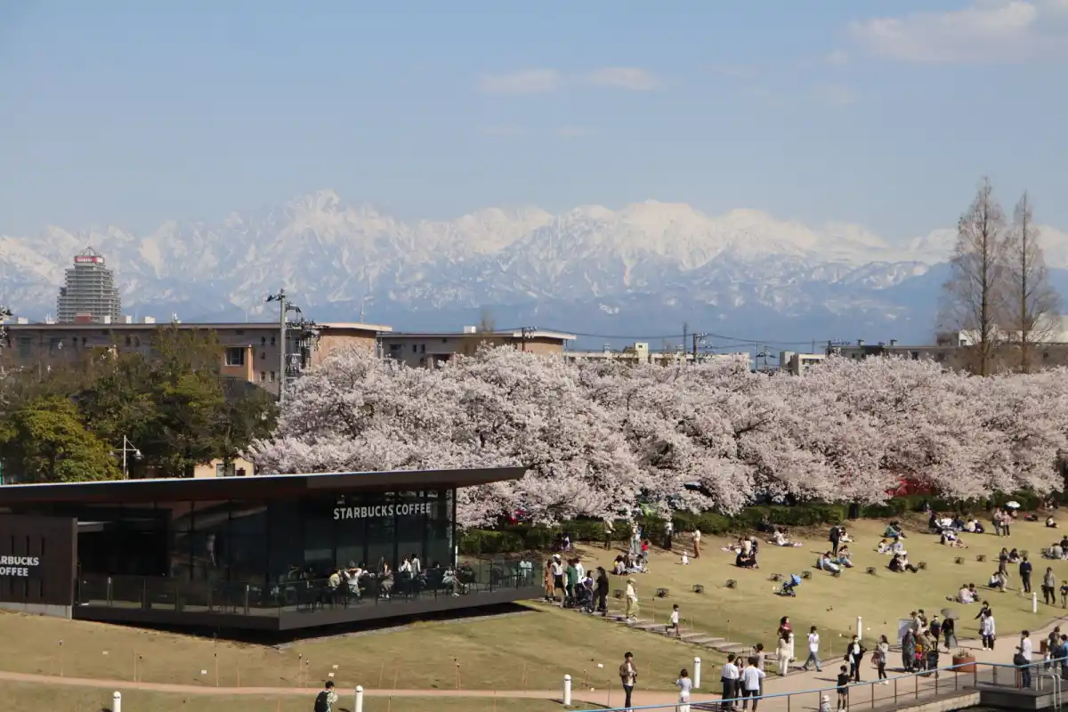 富岩運河環水公園の写真