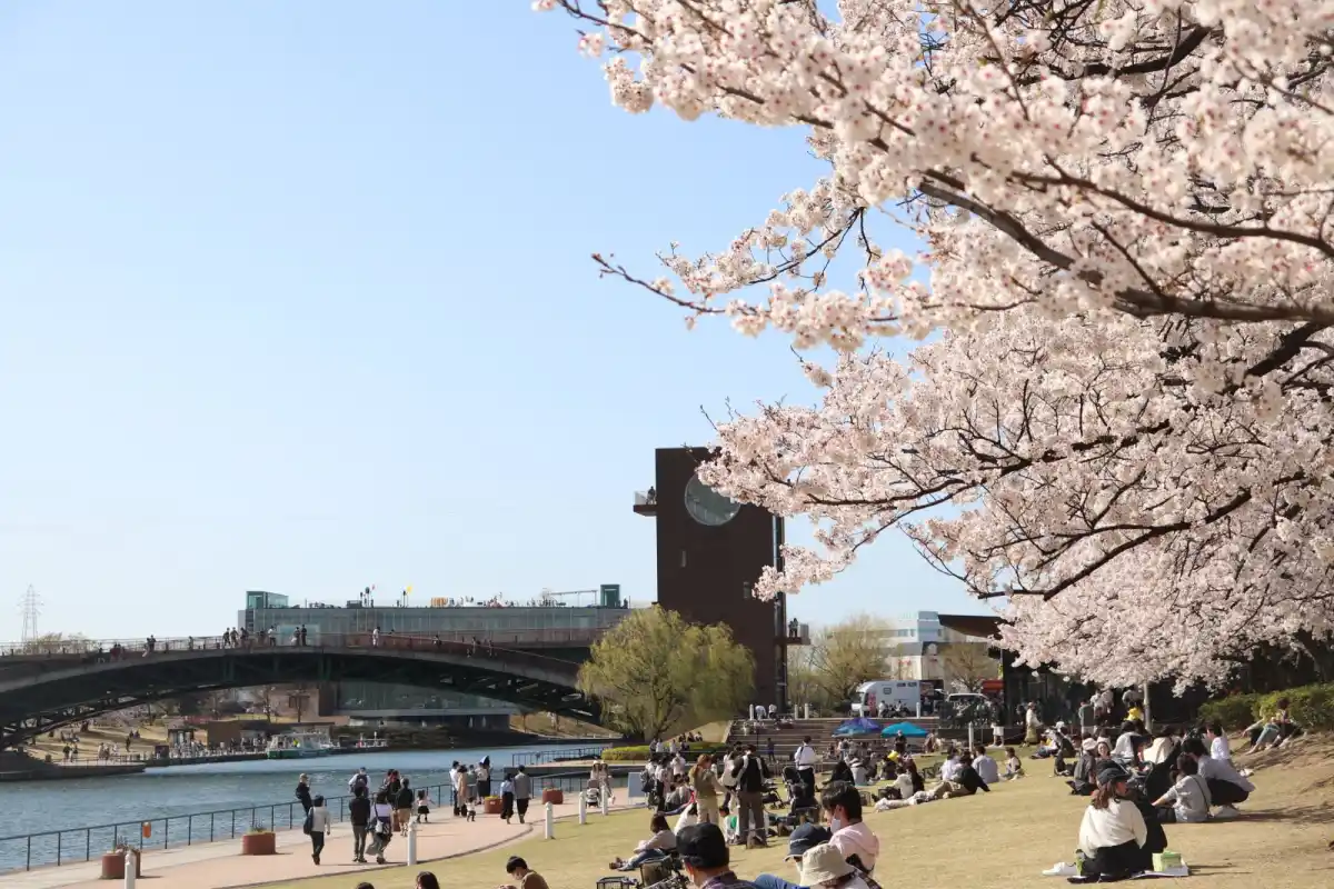 富岩運河環水公園の写真