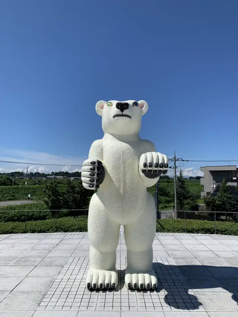 富山県美術館の写真