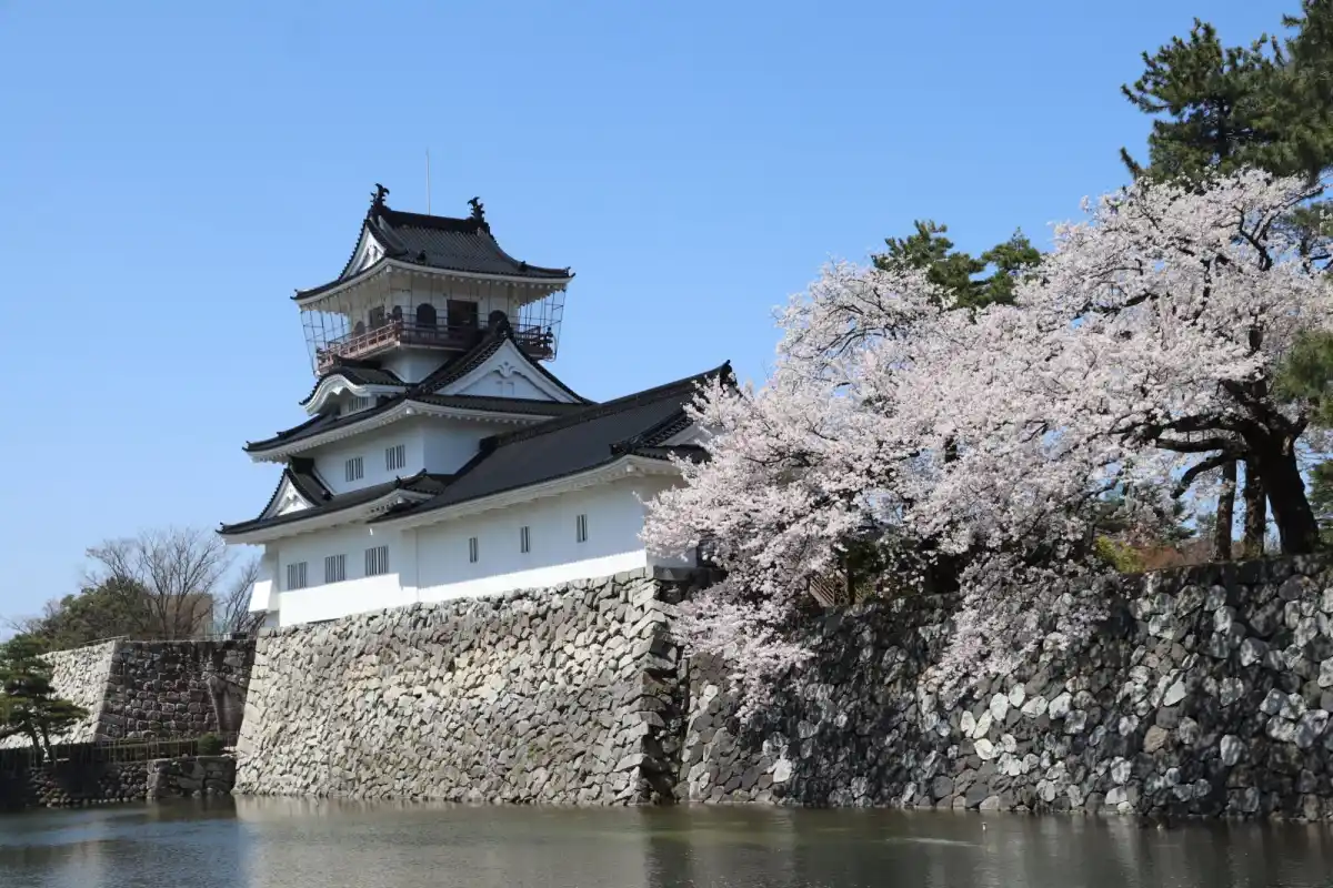 富山城址公園の写真