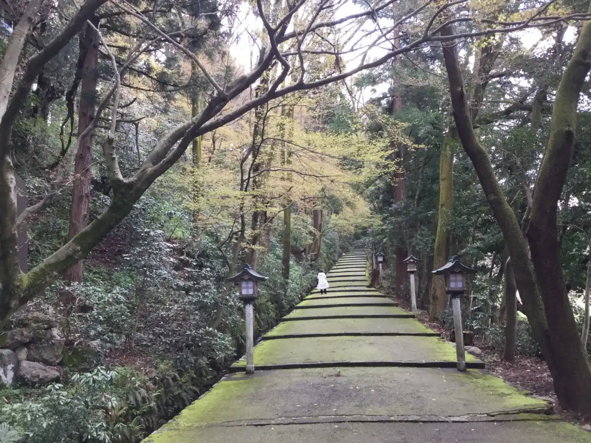 白山比咩神社の写真