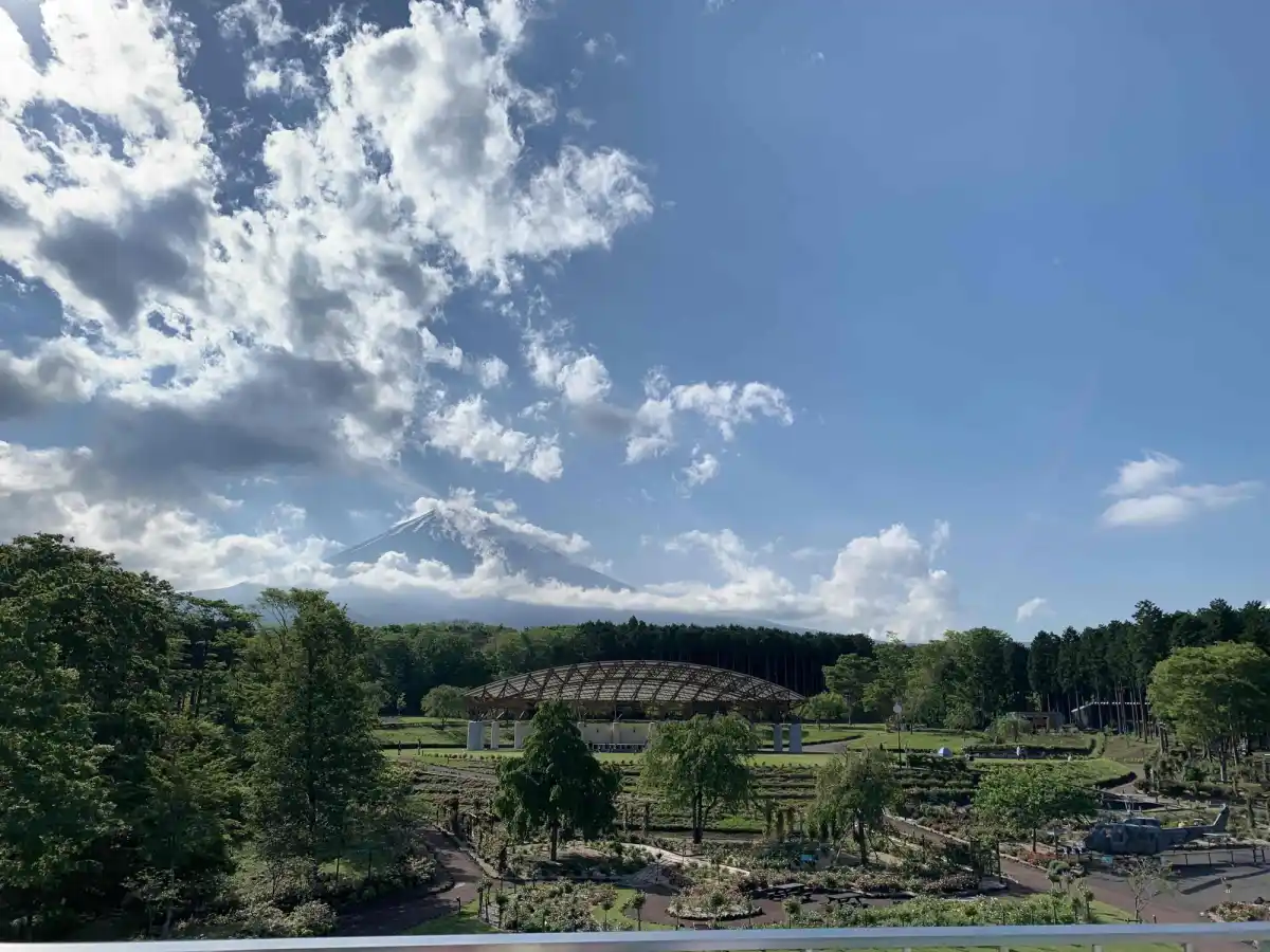 富士山樹空の森の写真