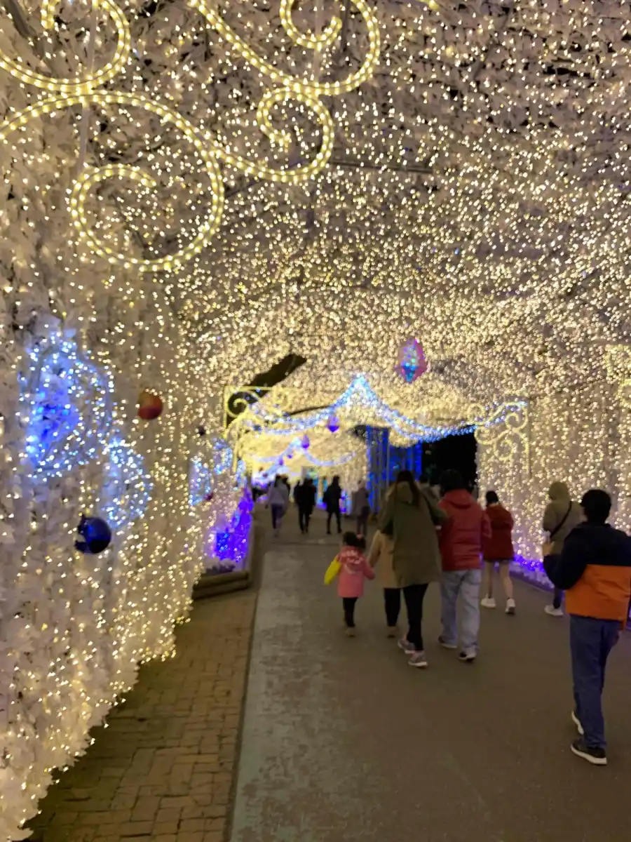 御殿場高原 時之栖の写真
