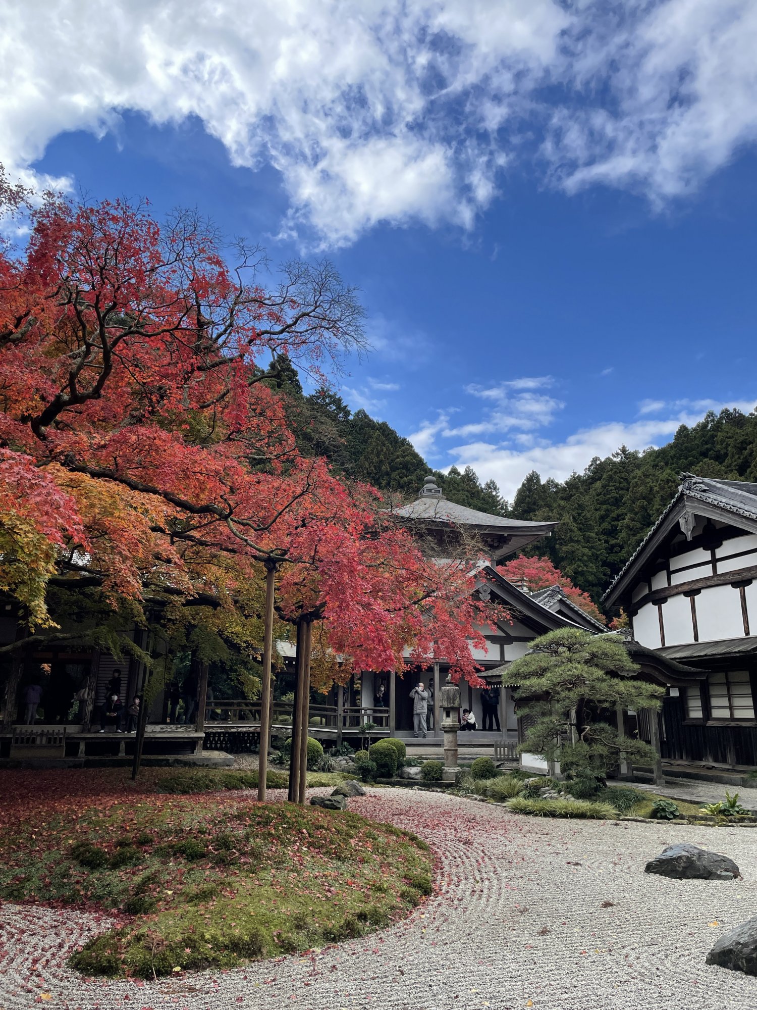 雷山千如寺大悲王院の写真