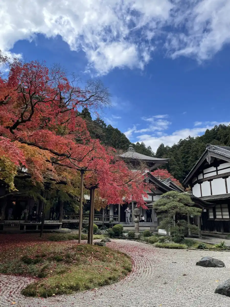 雷山千如寺大悲王院の写真