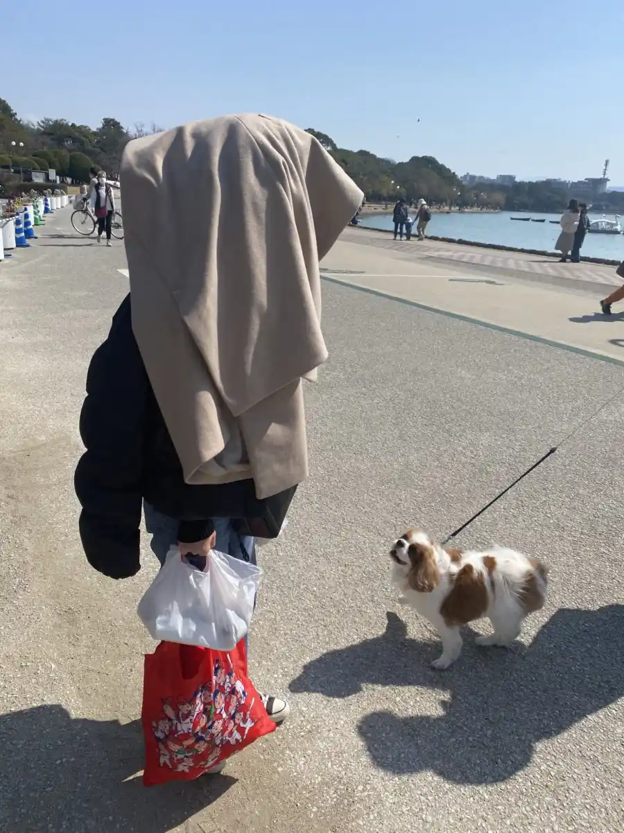 大濠公園の写真