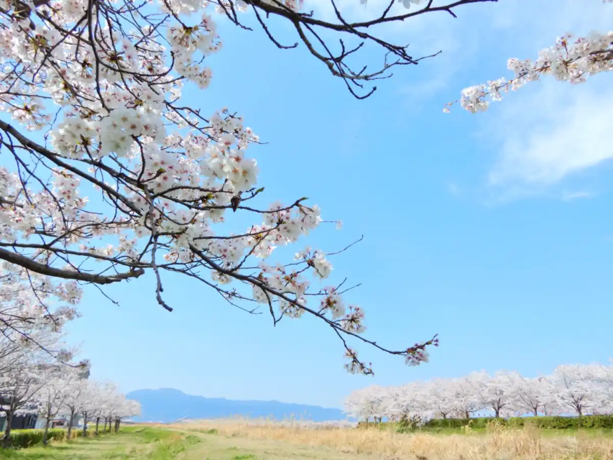 三角地公園の写真