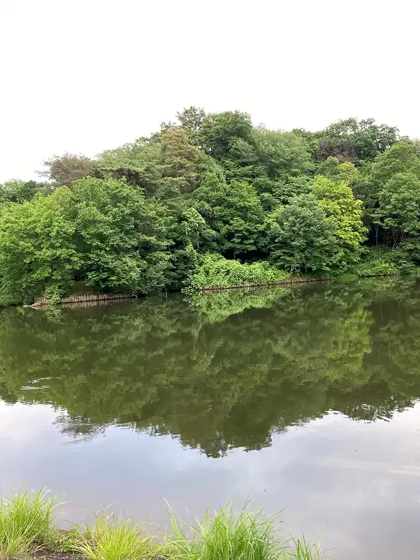 都立狭山公園の写真