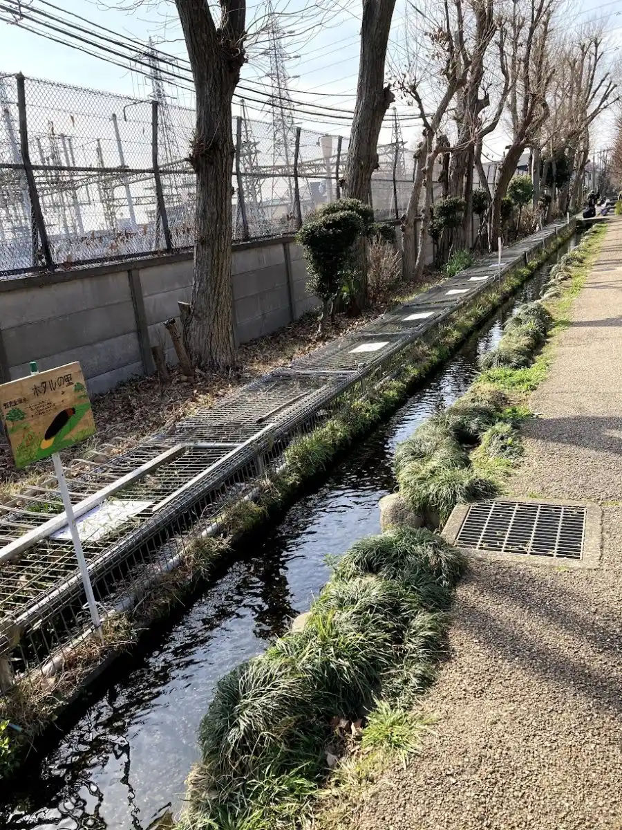 野火止用水ホタルの里の写真
