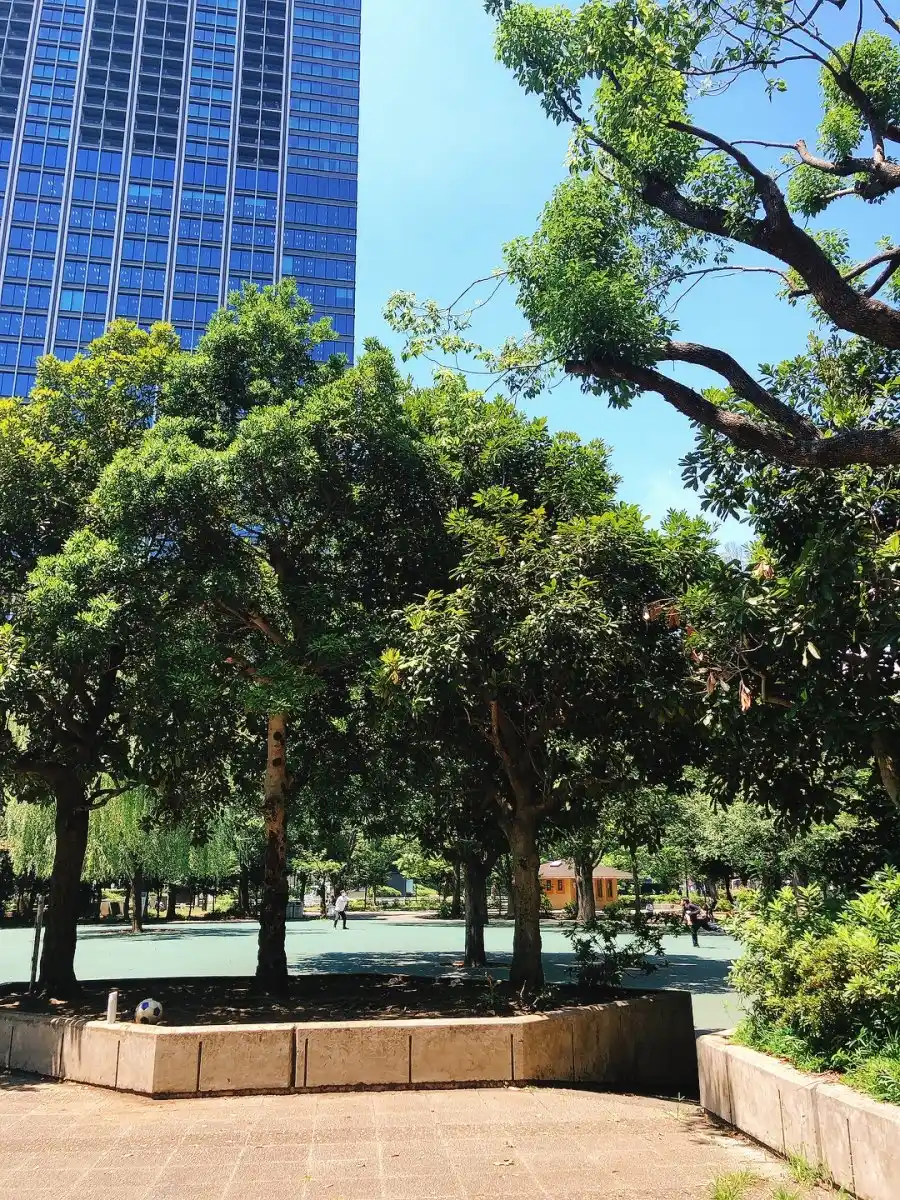戸山公園の写真