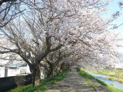 川沿いの散歩コースの写真