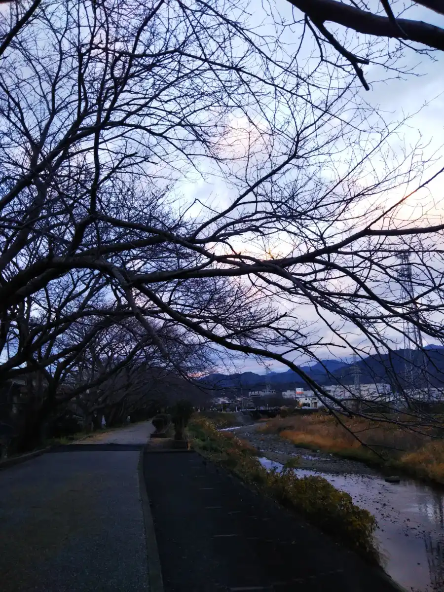 川沿いの散歩コースの写真