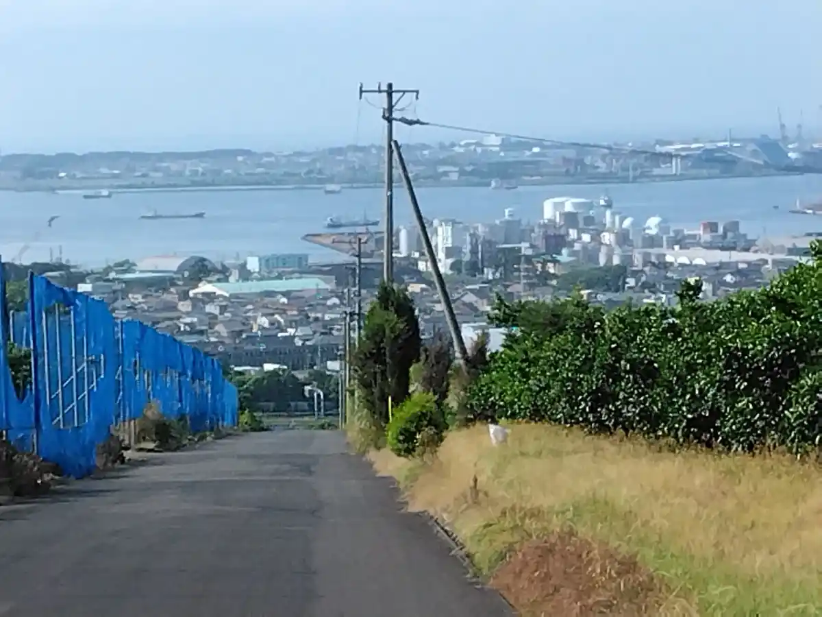 丘の上の写真