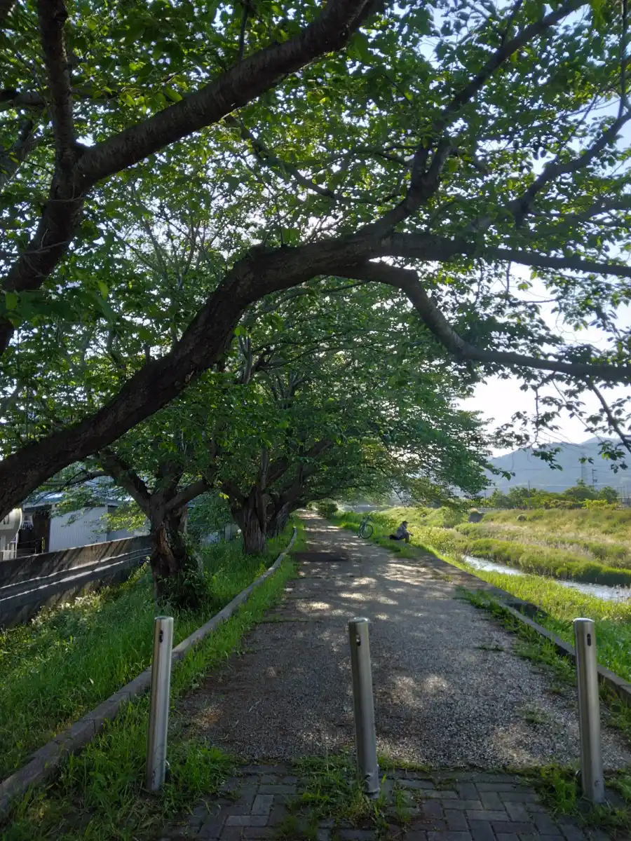 川沿いの散歩コースの写真