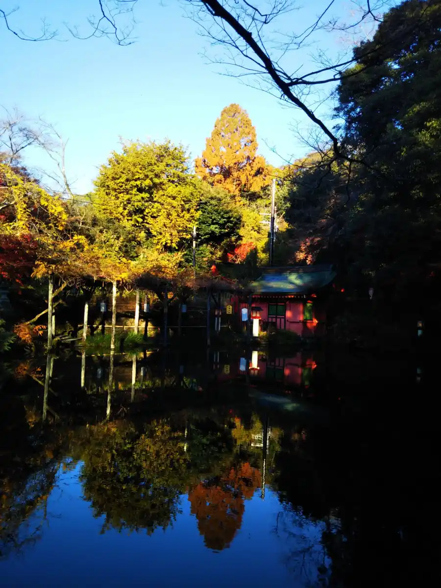 湧玉池の写真