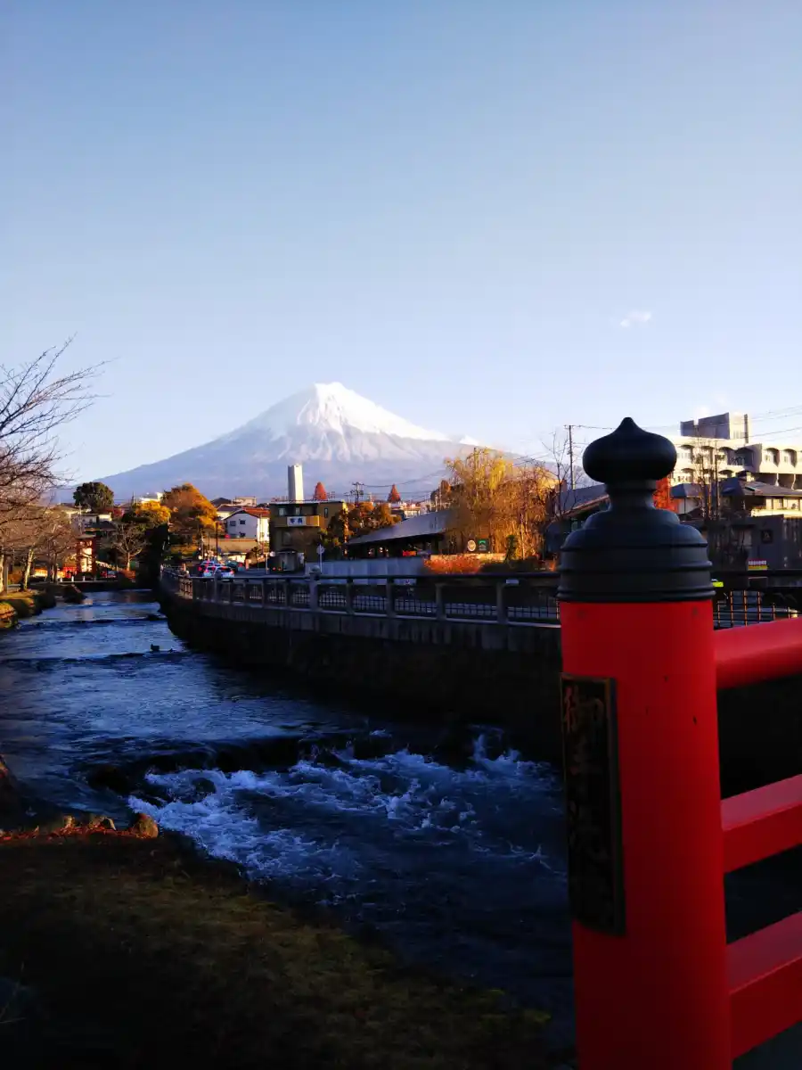 神田川の風景の写真