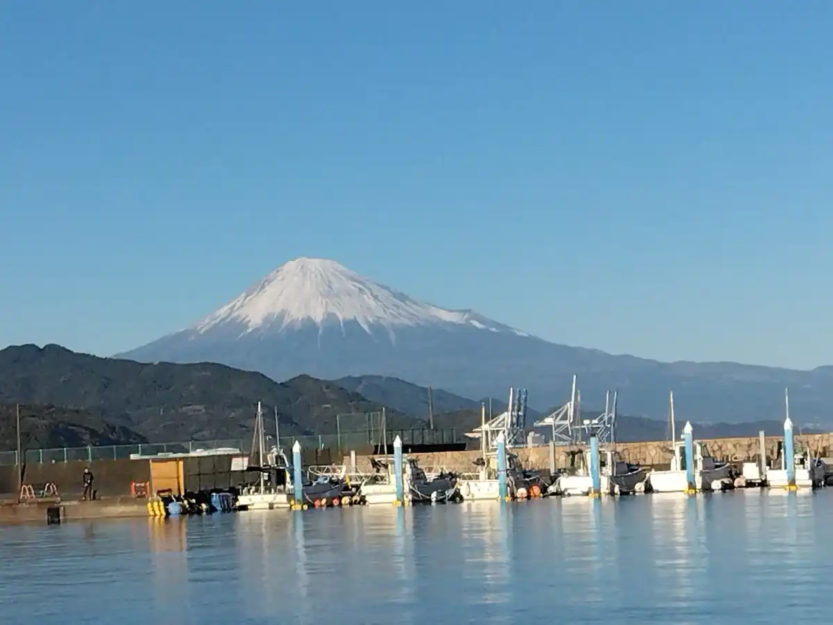 淸水マリンパークの写真