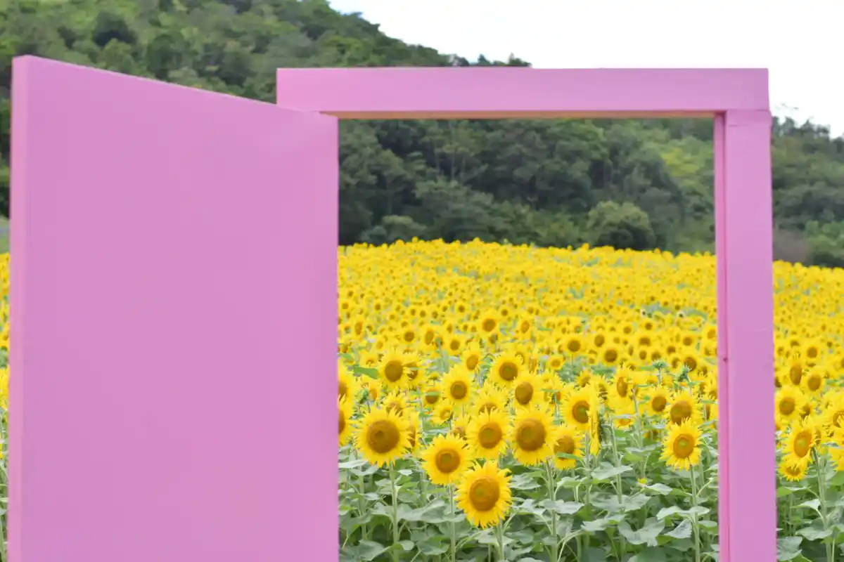 志摩市観光農園の写真