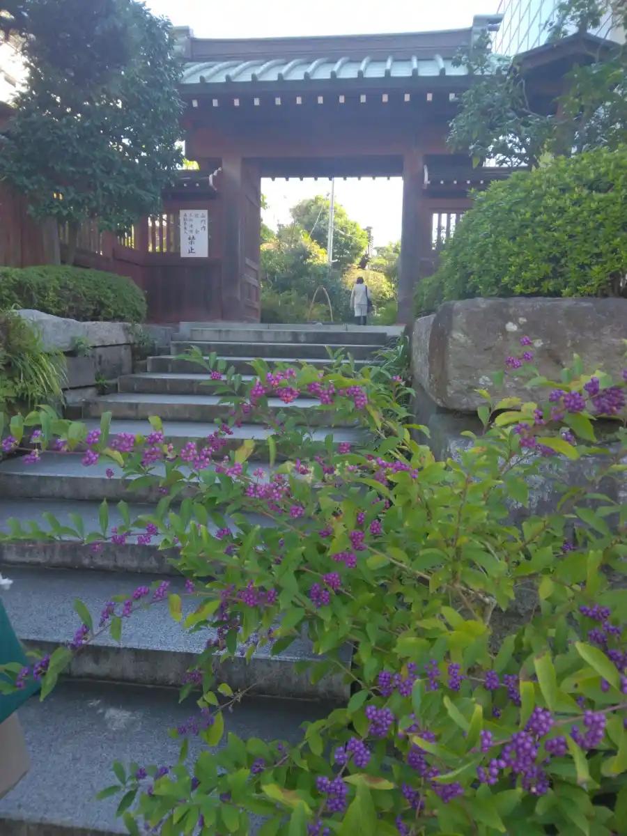 大巧寺の写真