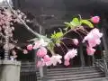 妙本寺の写真