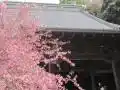 妙本寺の写真
