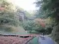 明月院の写真