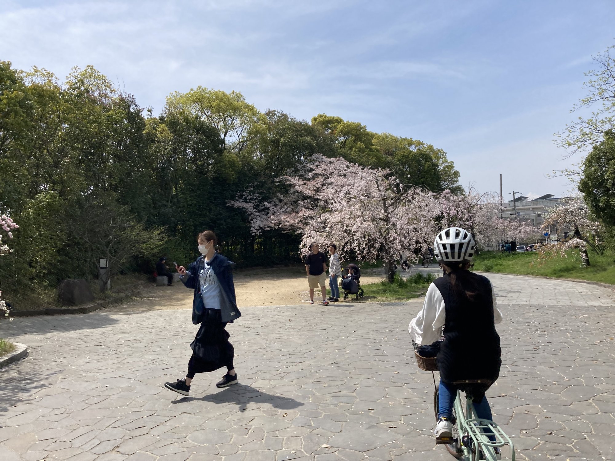 大仙公園の写真