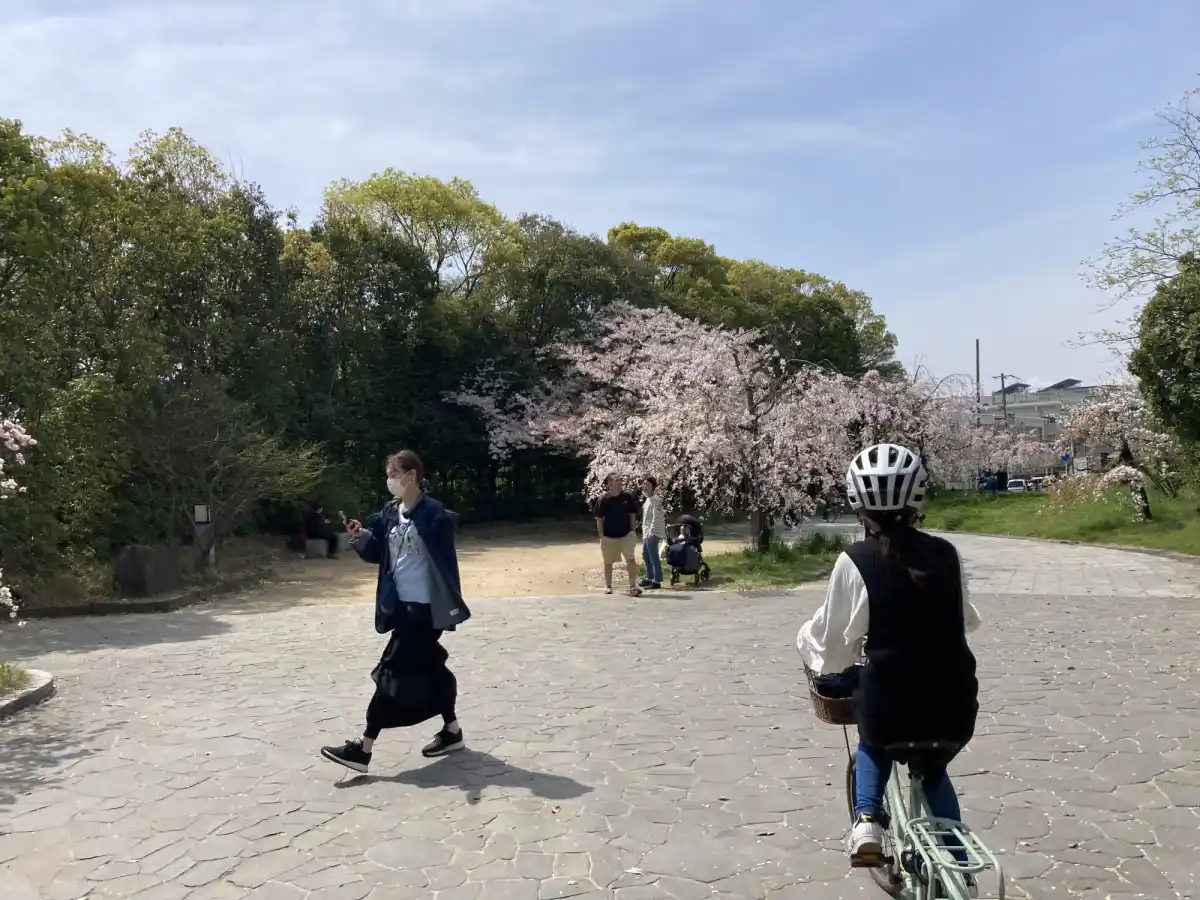 大仙公園の写真