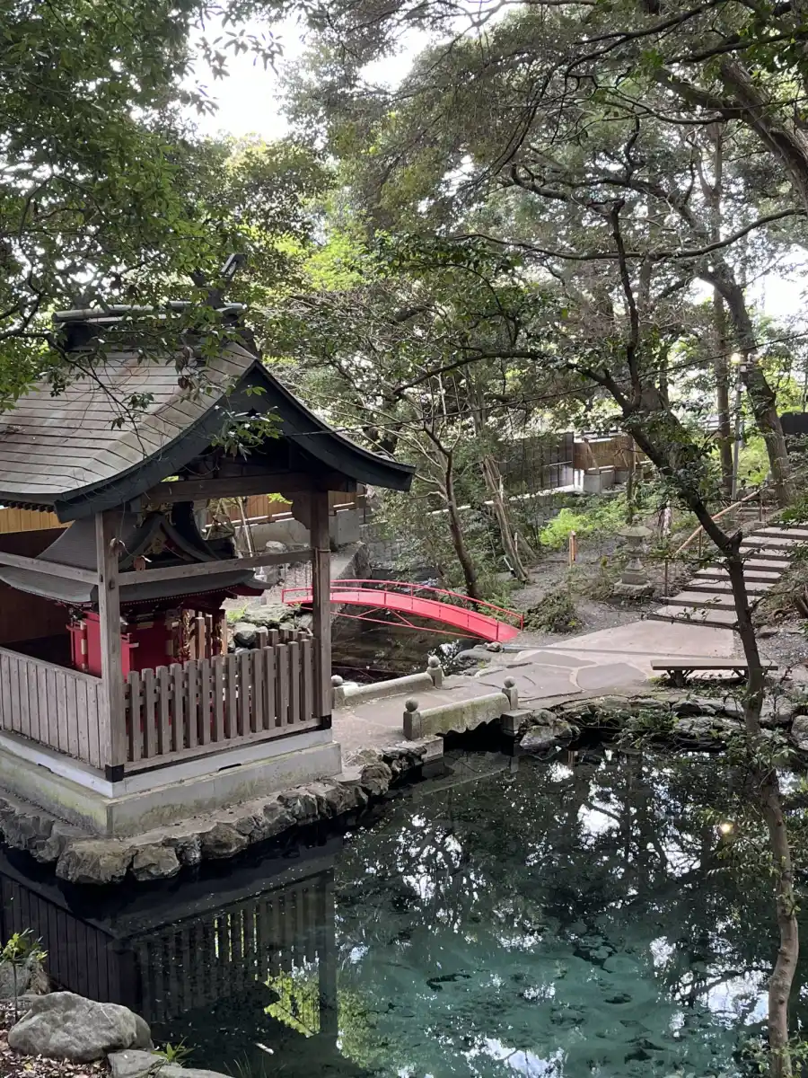 泉神社の写真