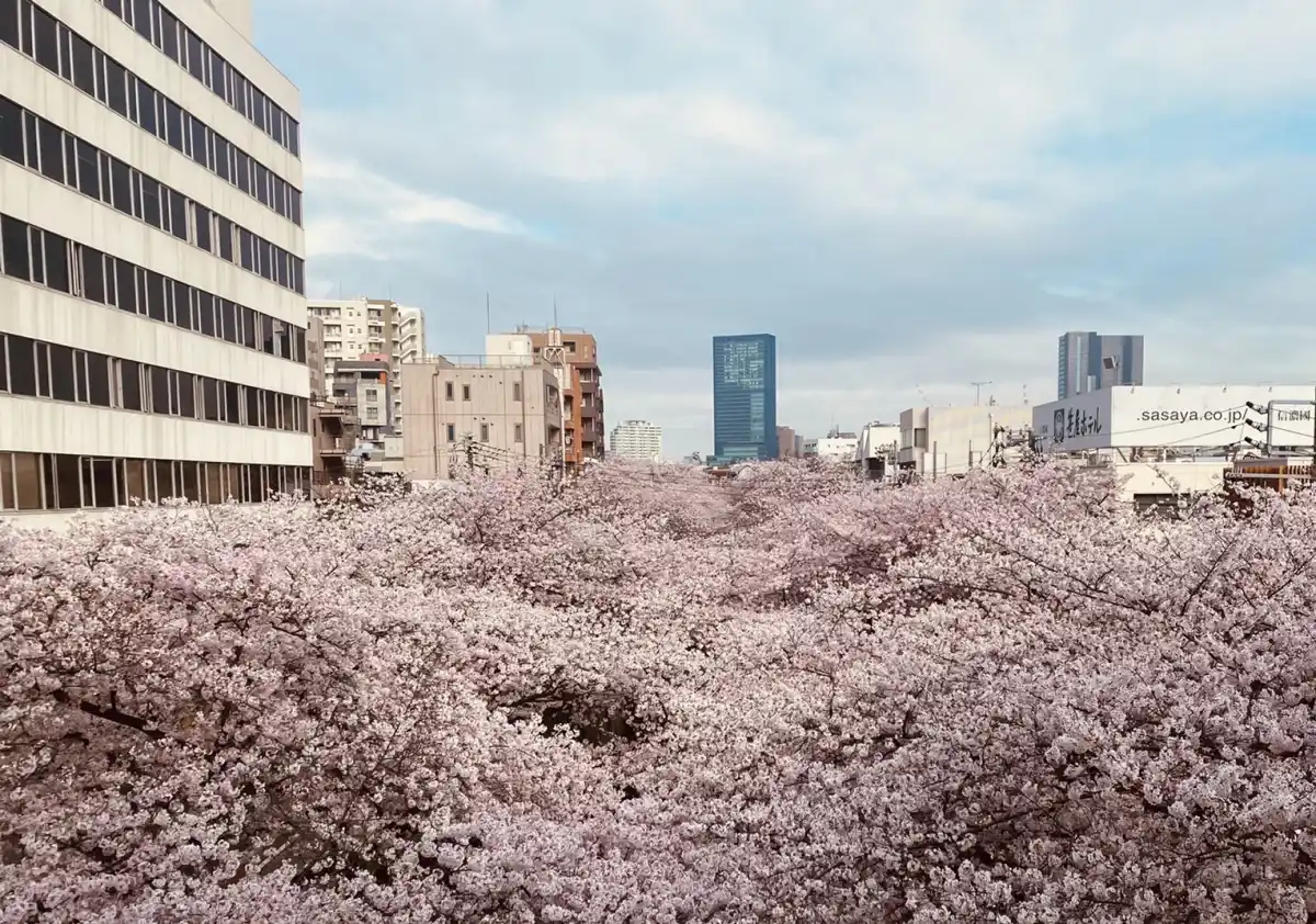 中目黒駅のホームの写真