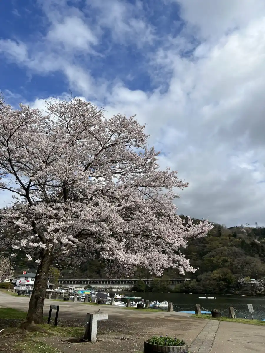 神奈川県立津久井湖城山公園の写真