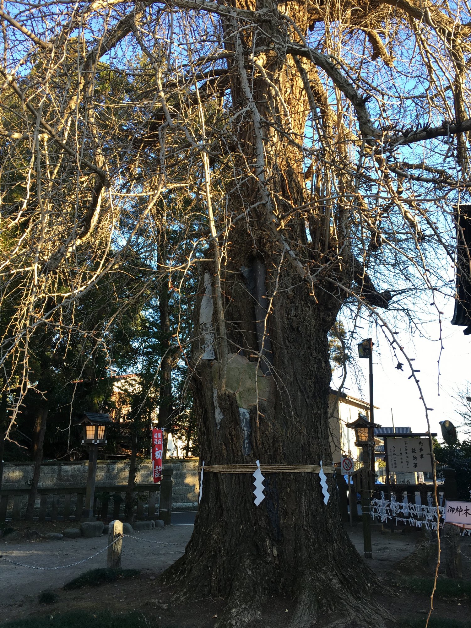今宮神社の写真