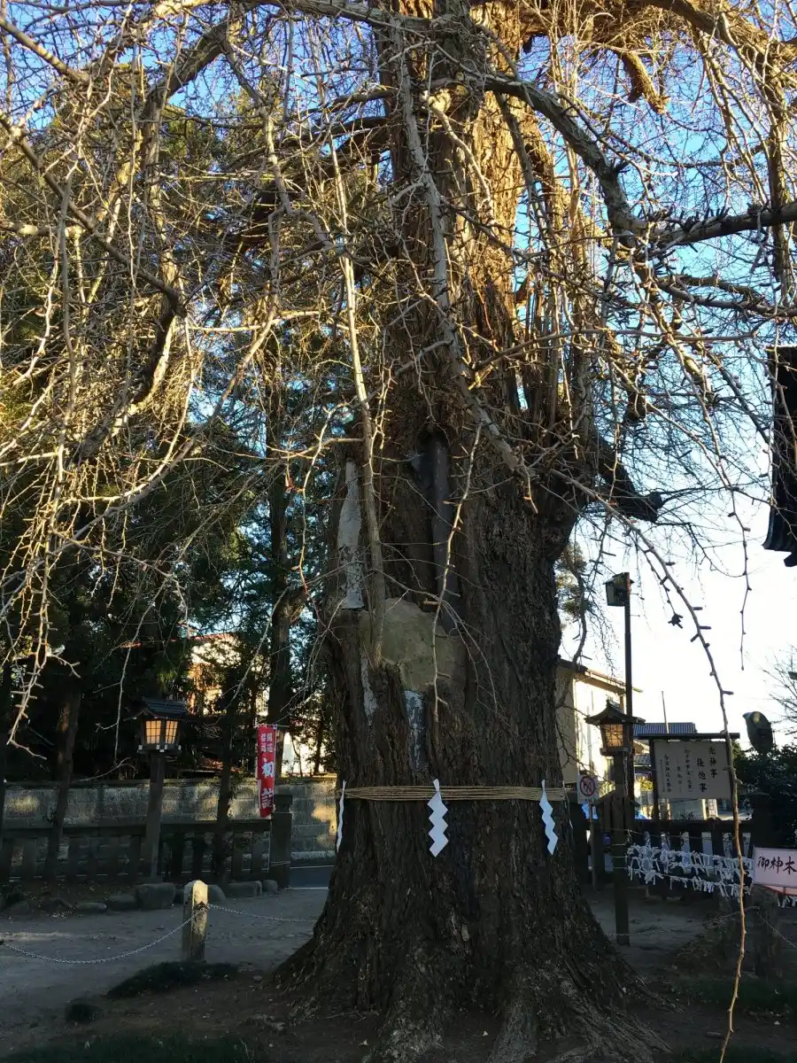 今宮神社の写真