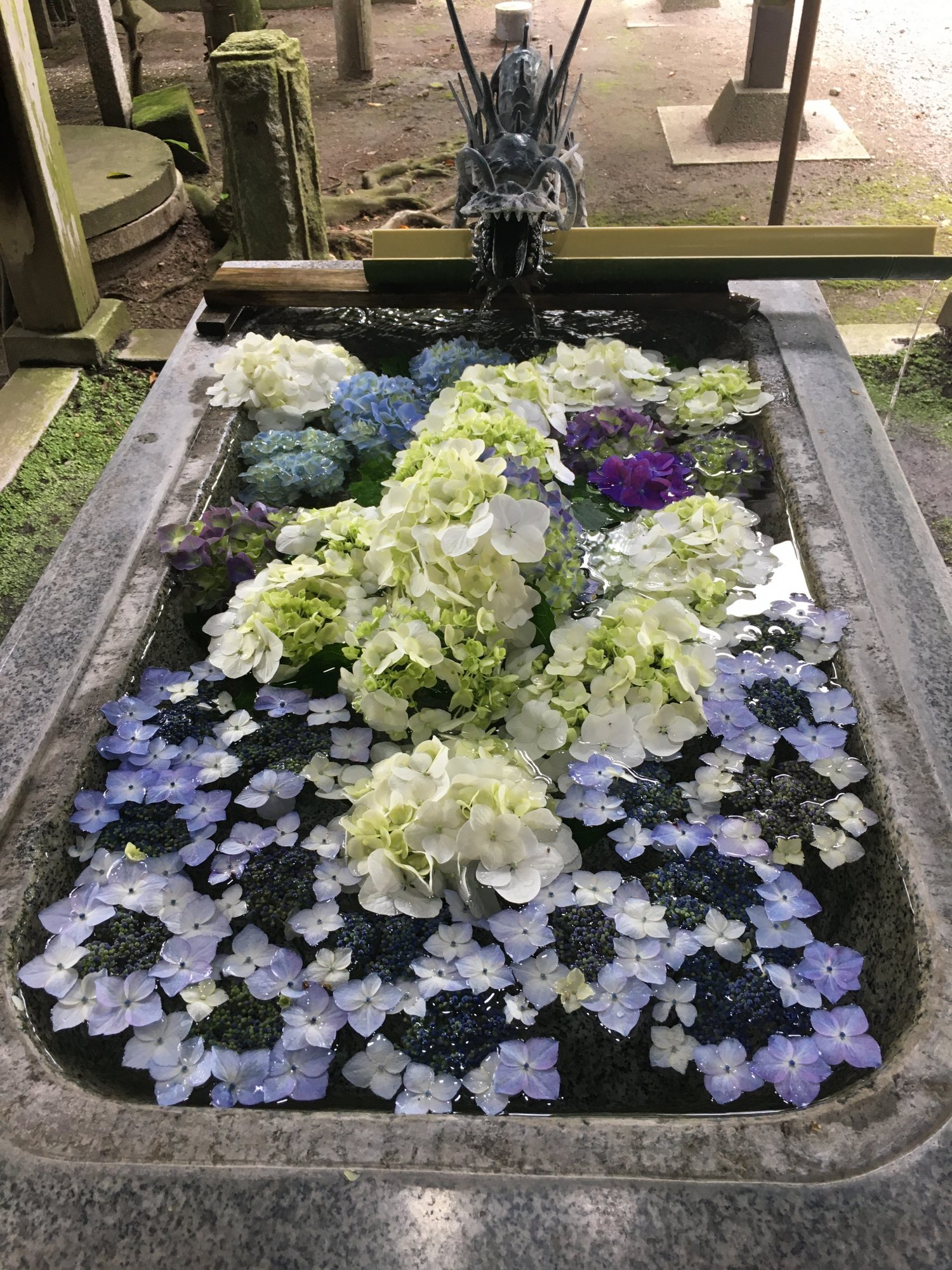今宮神社の写真