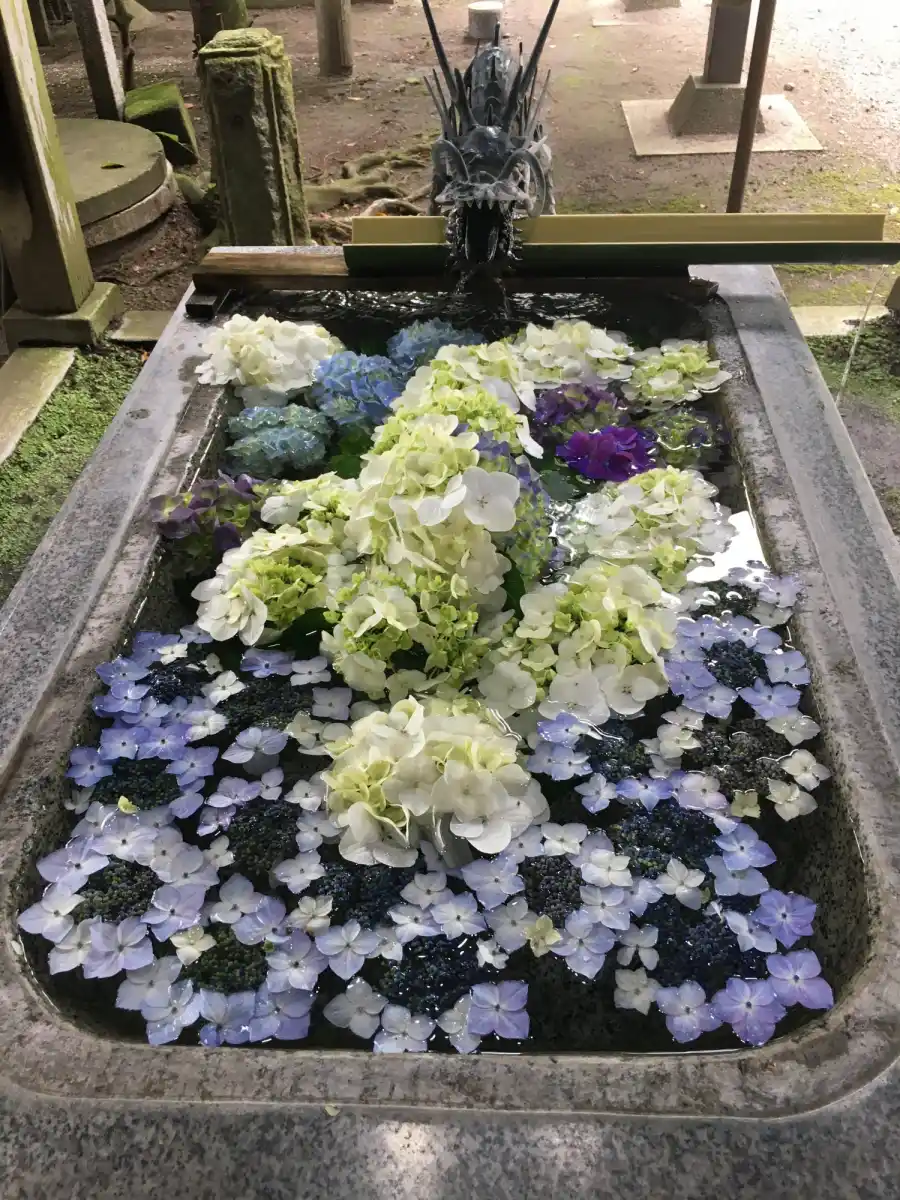 今宮神社の写真