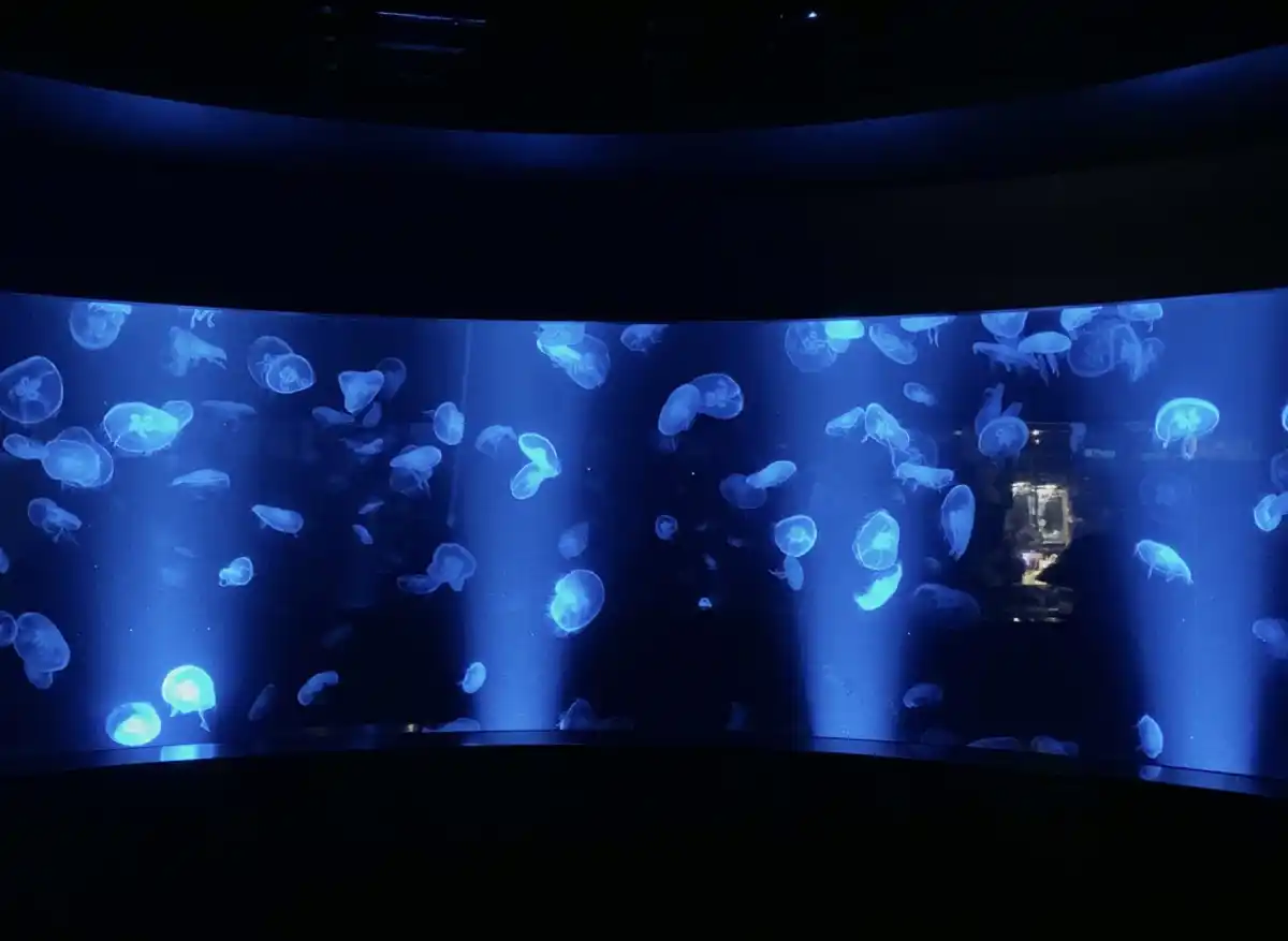 京都水族館の写真