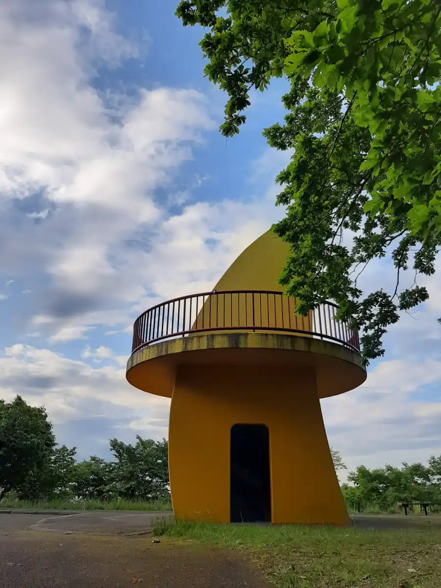 円山公園の展望台の写真