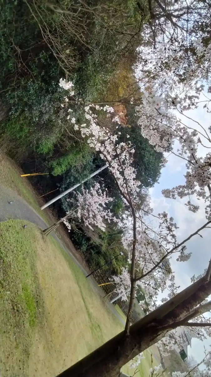 正源寺公園の写真