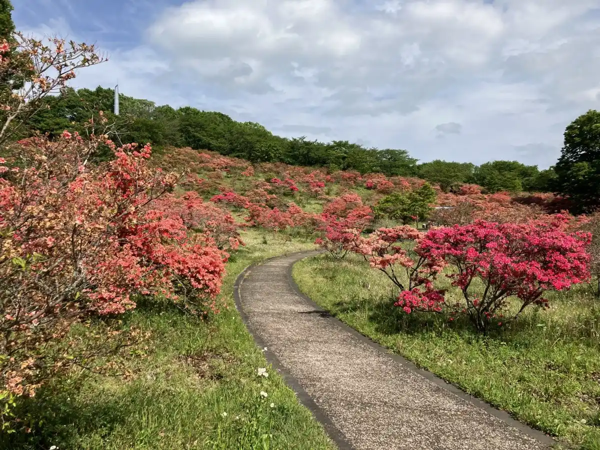 長峰公園の写真