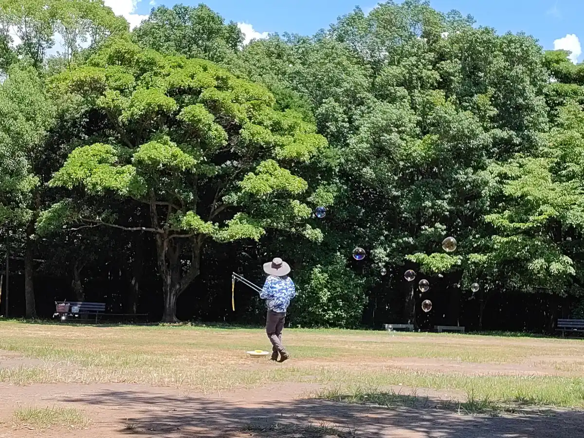 柿田川公園の写真