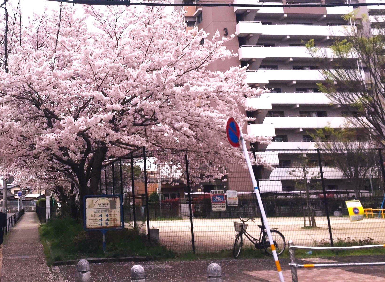 井尻１号公園の写真