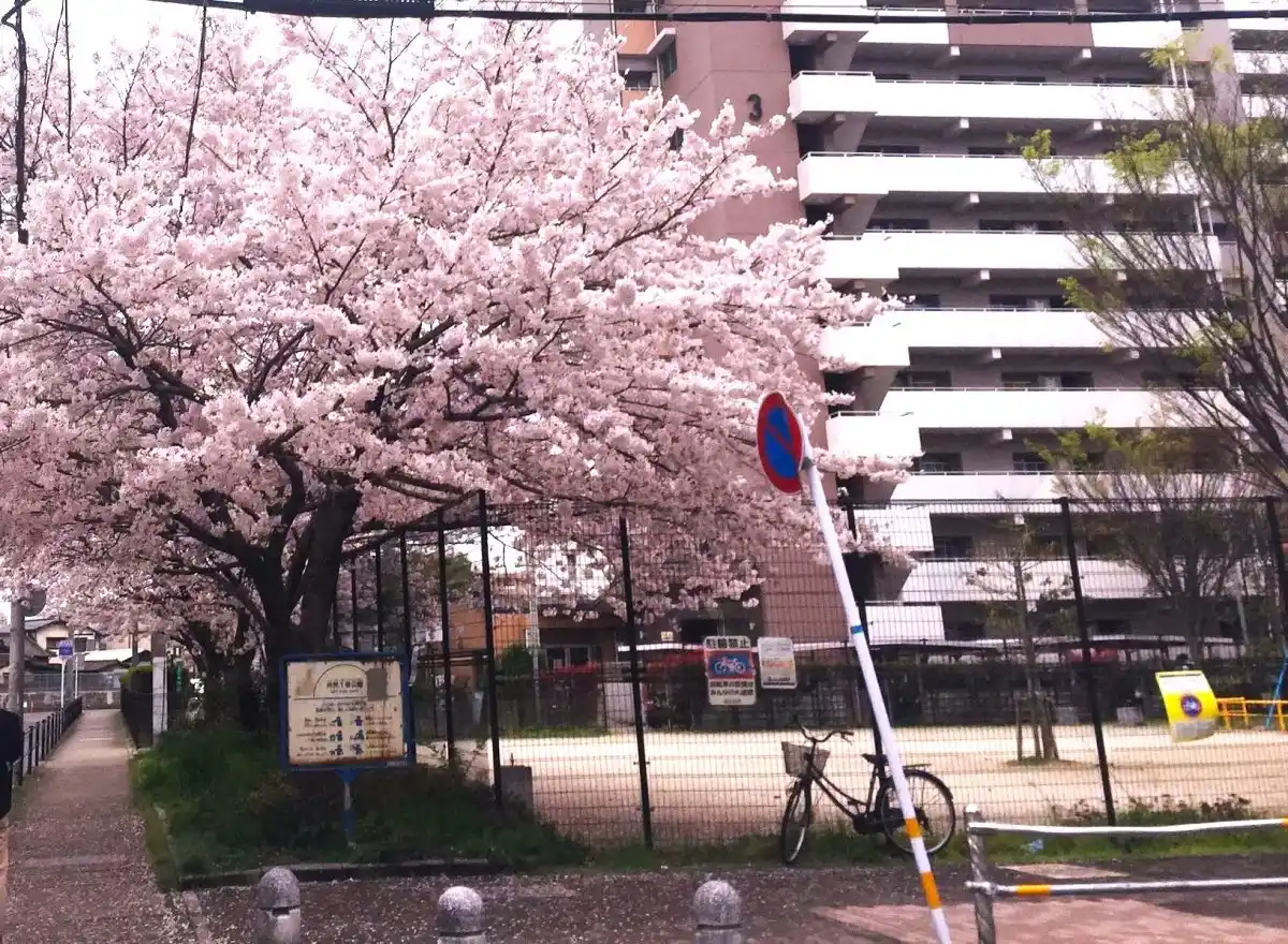 井尻１号公園の写真