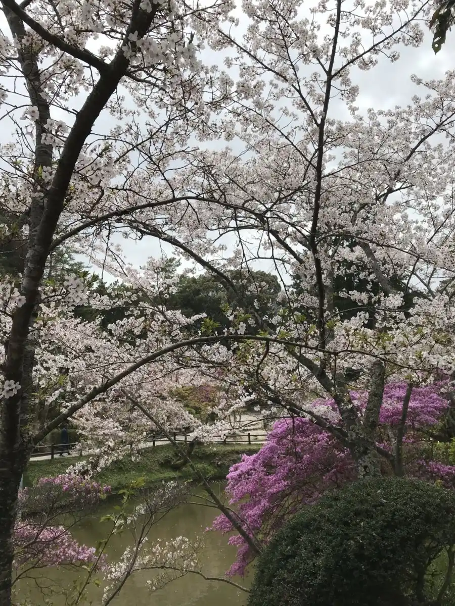 偕楽公園の写真